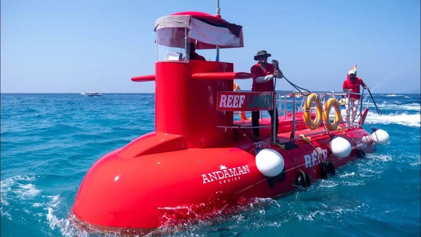 Deep-Sea Underwater Explorer: PADI Certification & Coral Safari